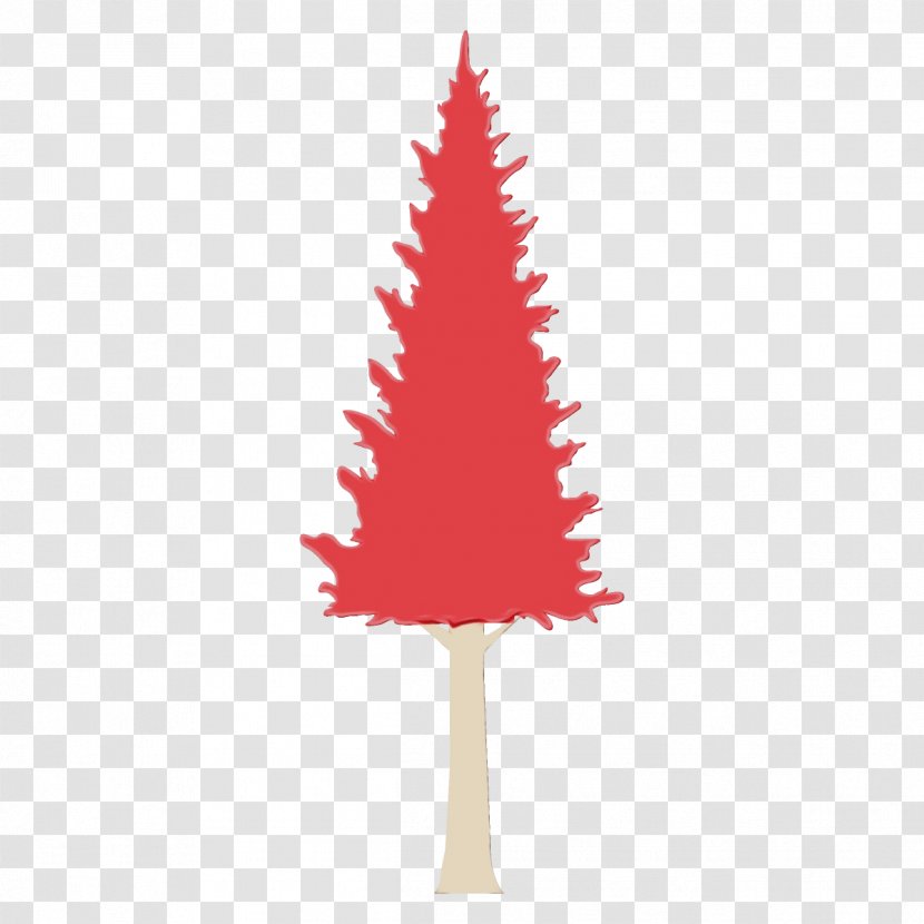 Christmas Tree - Pine Family - Oregon Transparent PNG