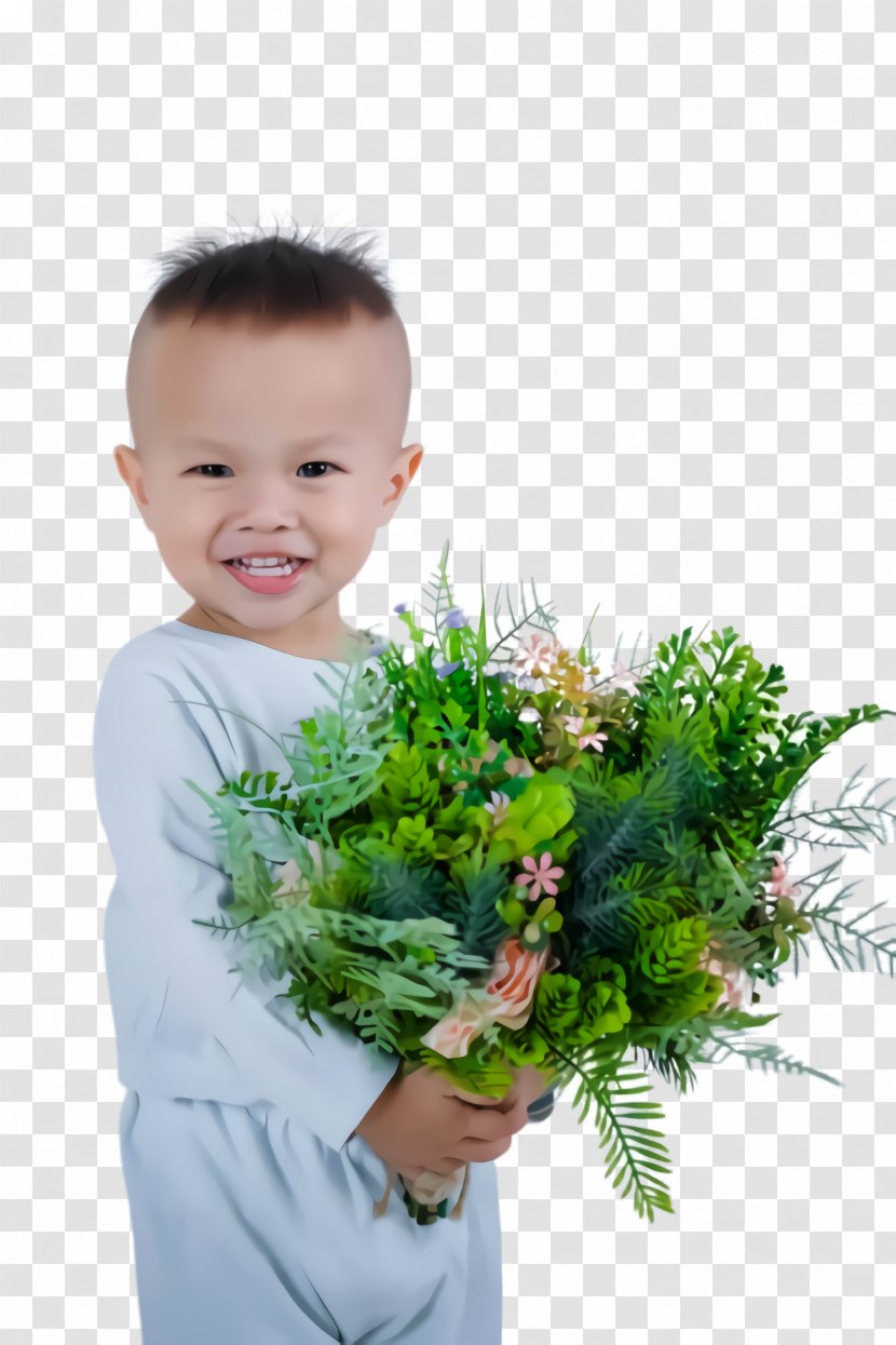 Bouquet Flower Plant Flowerpot Grass - Child - Herb Floristry Transparent PNG