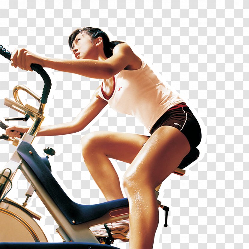 Fundal Health - Flower - Cycling Fitness Single Page Transparent PNG