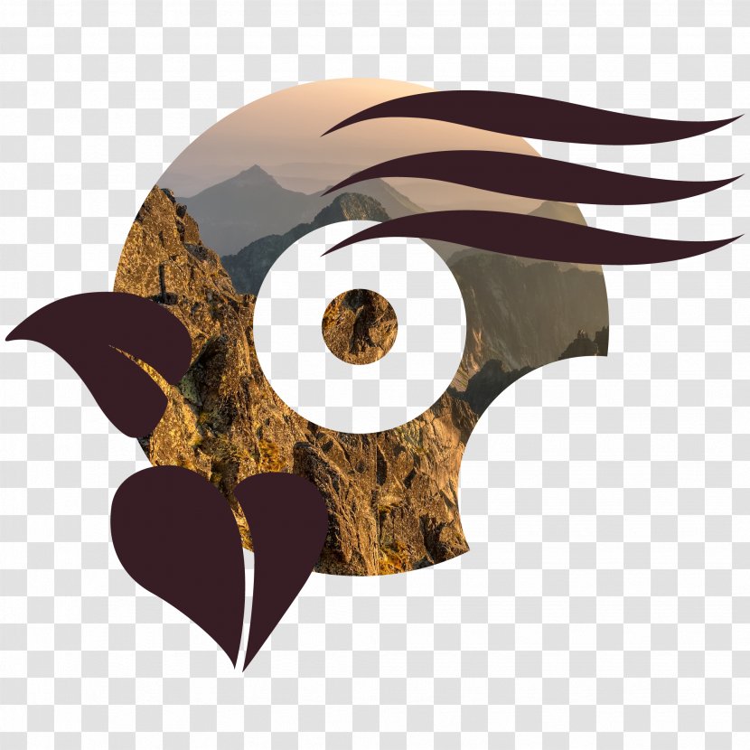 Owl Product Design - Beak - Bacterial Growth In 10 Hours Transparent PNG
