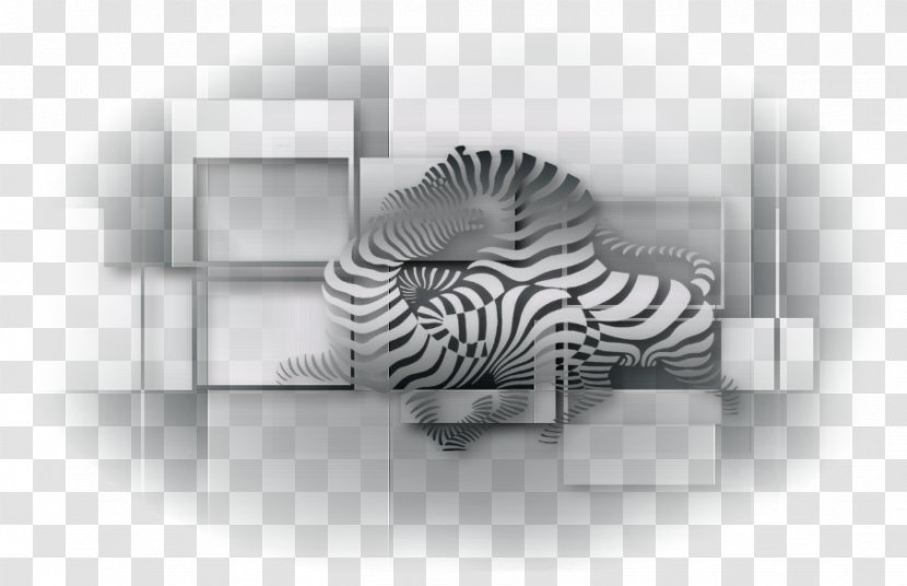Zebra Brand Desktop Wallpaper Transparent PNG