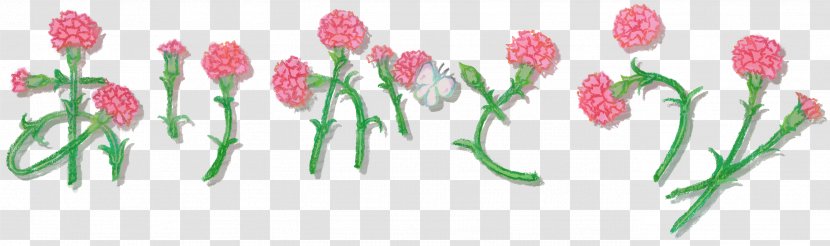 Sugimoto Dentistry Carnation Cut Flowers Clip Art - Floral Design Transparent PNG