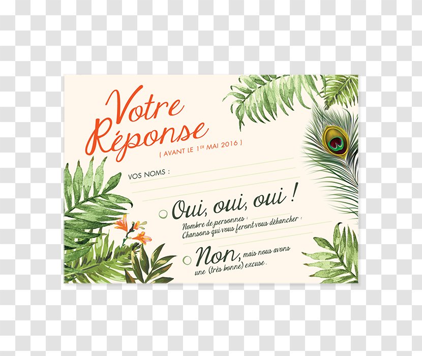 Wedding Invitation In Memoriam Card Tropics Convite Marriage - Tropical Forest - Jungle Transparent PNG