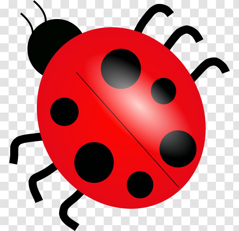 Ladybird Drawing Clip Art - Insect - Beetle Cliparts Transparent PNG