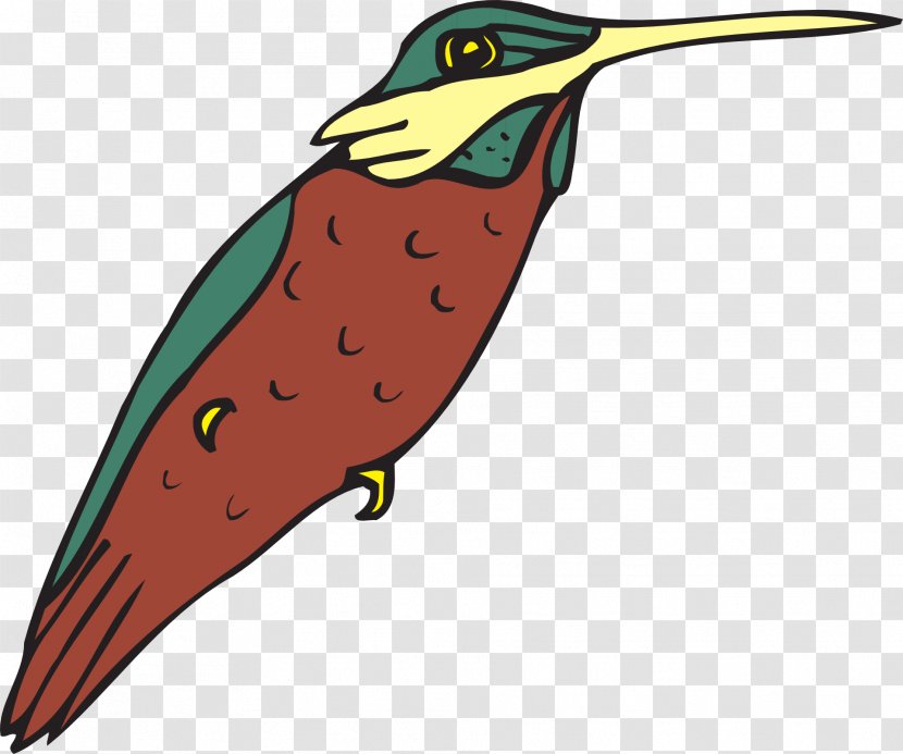 Beak Hummingbird Clip Art Vector Graphics - Bird Transparent PNG