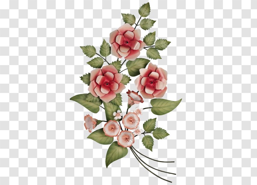 Garden Roses Centifolia Cut Flowers Floral Design - Petal - Flower Transparent PNG