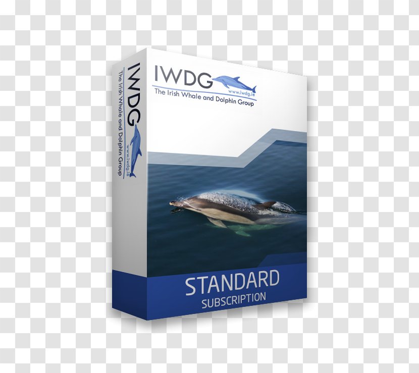 Irish Whale And Dolphin Group Ireland Watching - Shop Standard Transparent PNG