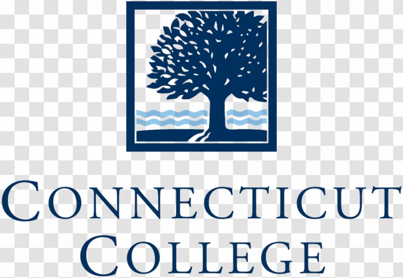 Connecticut College Southeastern Liberal Arts Olin - School Transparent PNG
