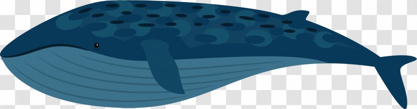 Dolphin Blue Shoe - Azure - Shark Vector Transparent PNG