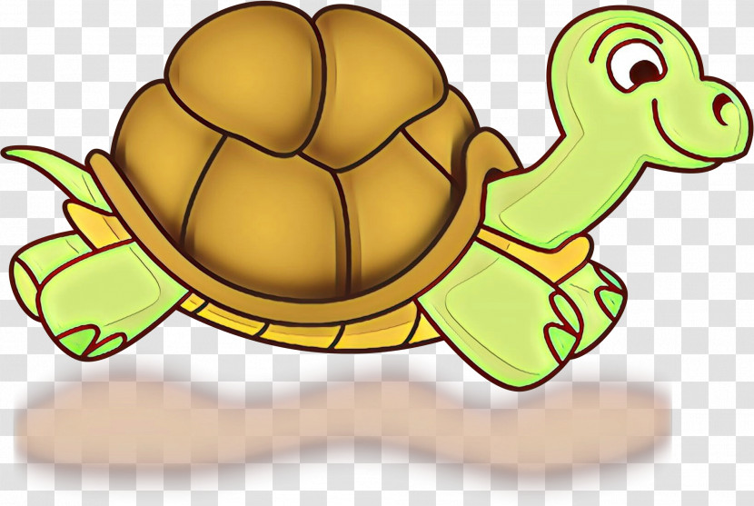 Tortoise Turtle Green Yellow Pond Turtle Transparent PNG