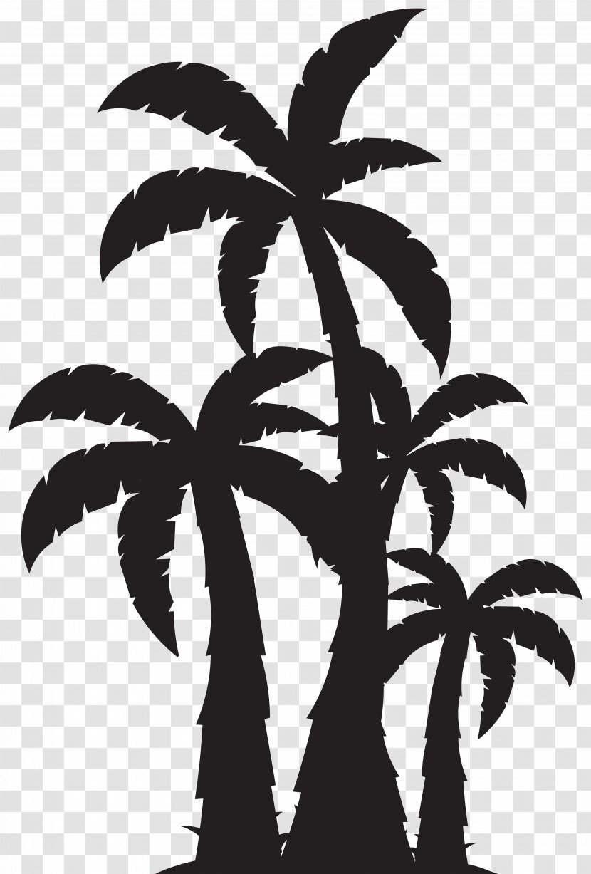 Arecaceae Tree Clip Art - Palm - Trees Silhouette Image Transparent PNG