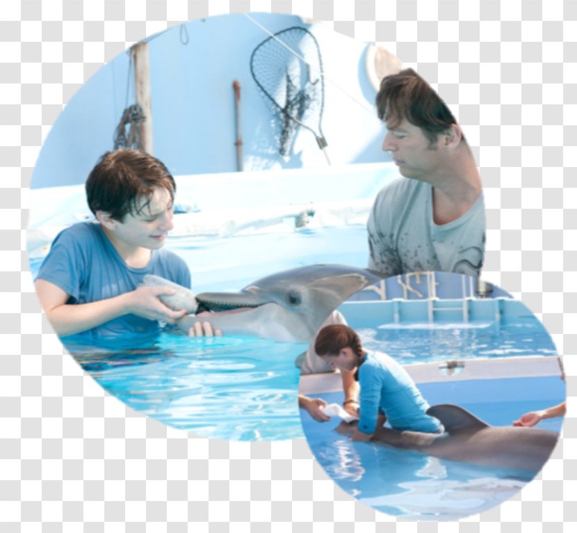 Clearwater Marine Aquarium Dr. Clay Haskett Film Dolphin Tale - Water - Nathan Gamble Transparent PNG