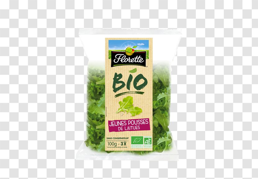Organic Food Leaf Vegetable Butterhead Lettuce Farming Shoot - Arugula - Salad Transparent PNG