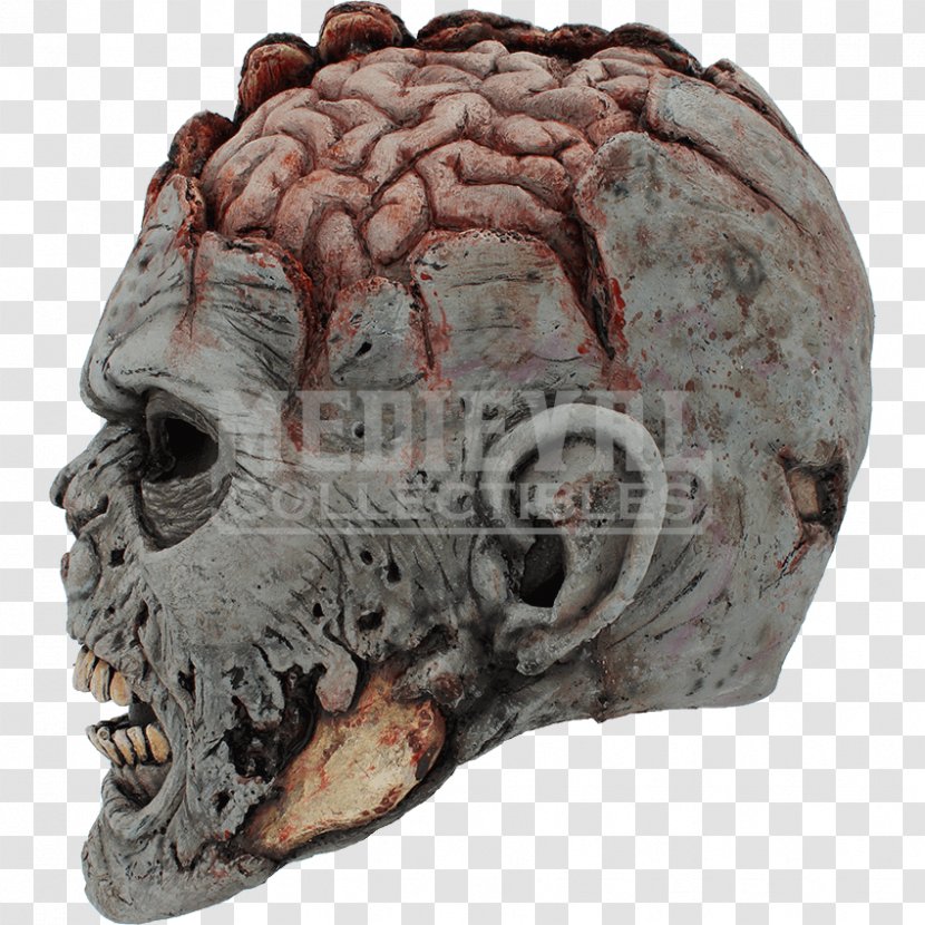 Skull Brain Mask Head Grey Matter - Cartoon Transparent PNG