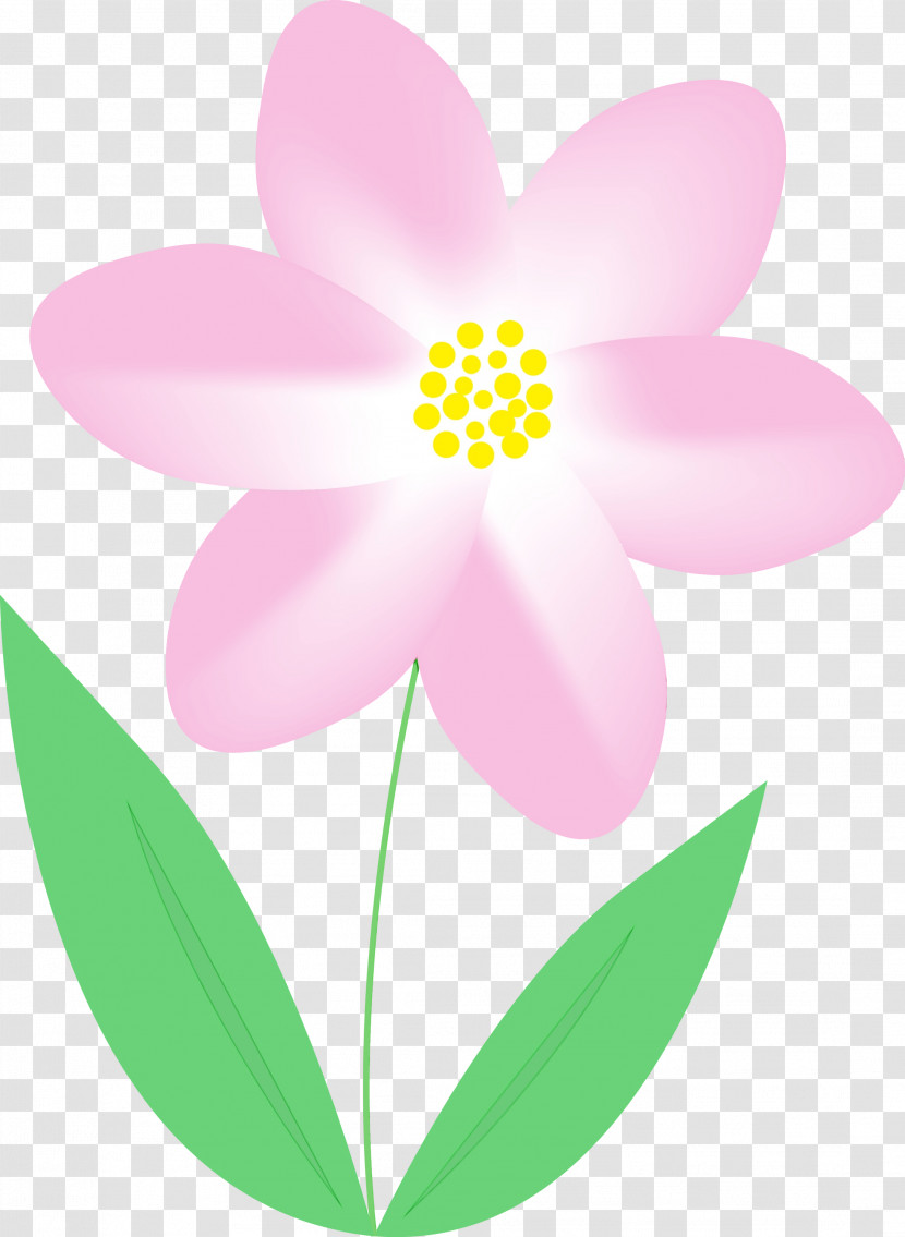 Petal Pink Flower Plant Pedicel Transparent PNG