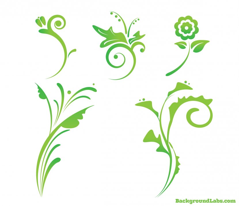 Flower Floral Design Clip Art - Plant Stem - Vector Transparent PNG