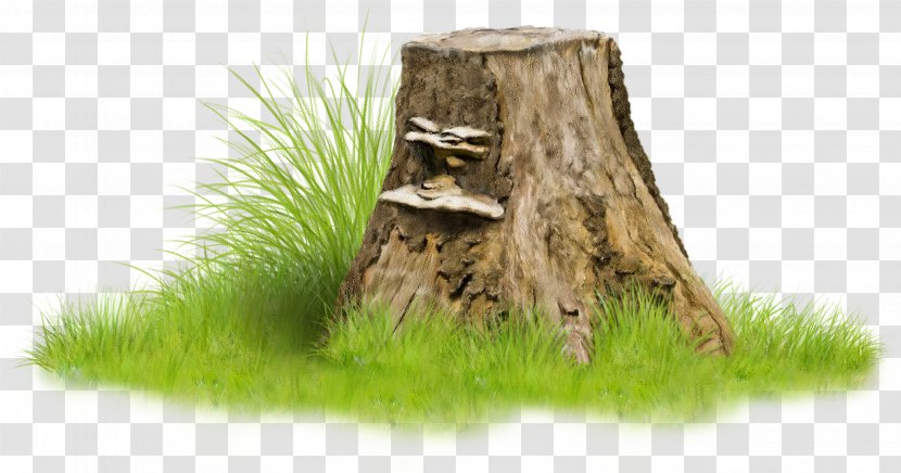 Tree Stump Trunk Clip Art - Grass - Preposition Transparent PNG