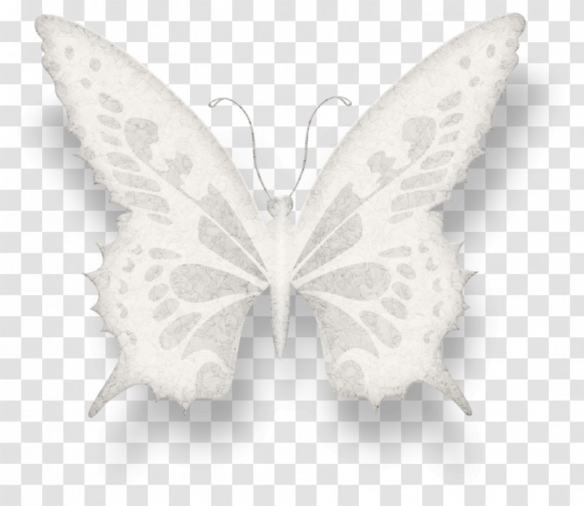 Butterfly Drawing Cartoon - Small Transparent PNG