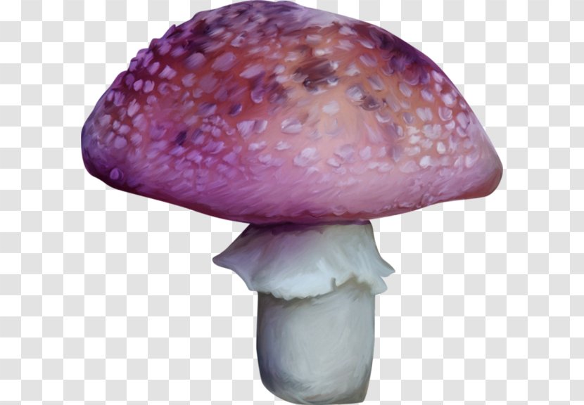 Agaricaceae Edible Mushroom Medicinal Fungi Purple - Little Mushrooms Transparent PNG