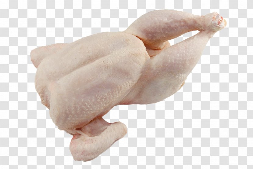 Chicken Meat - Quality Transparent PNG