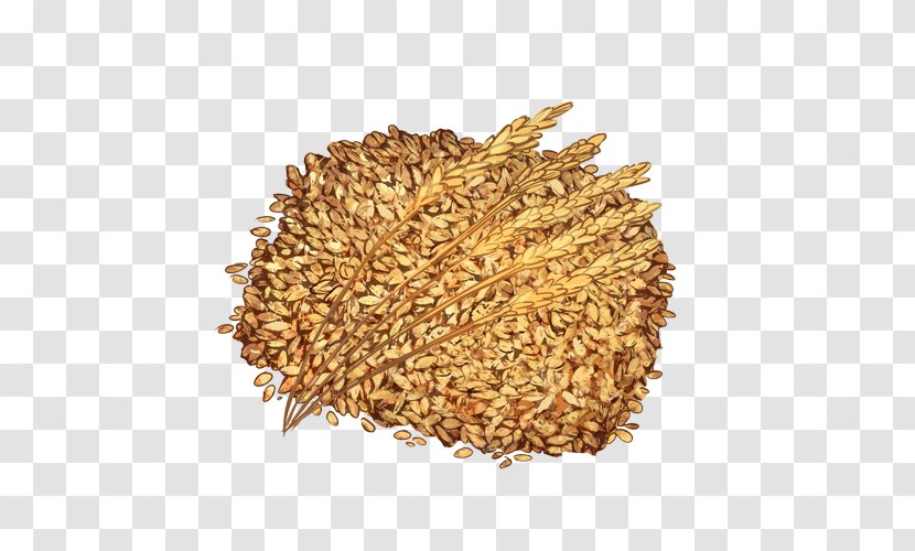Cereal Spelt Bran Seed Oat - Avena - Wheat Grain Transparent PNG