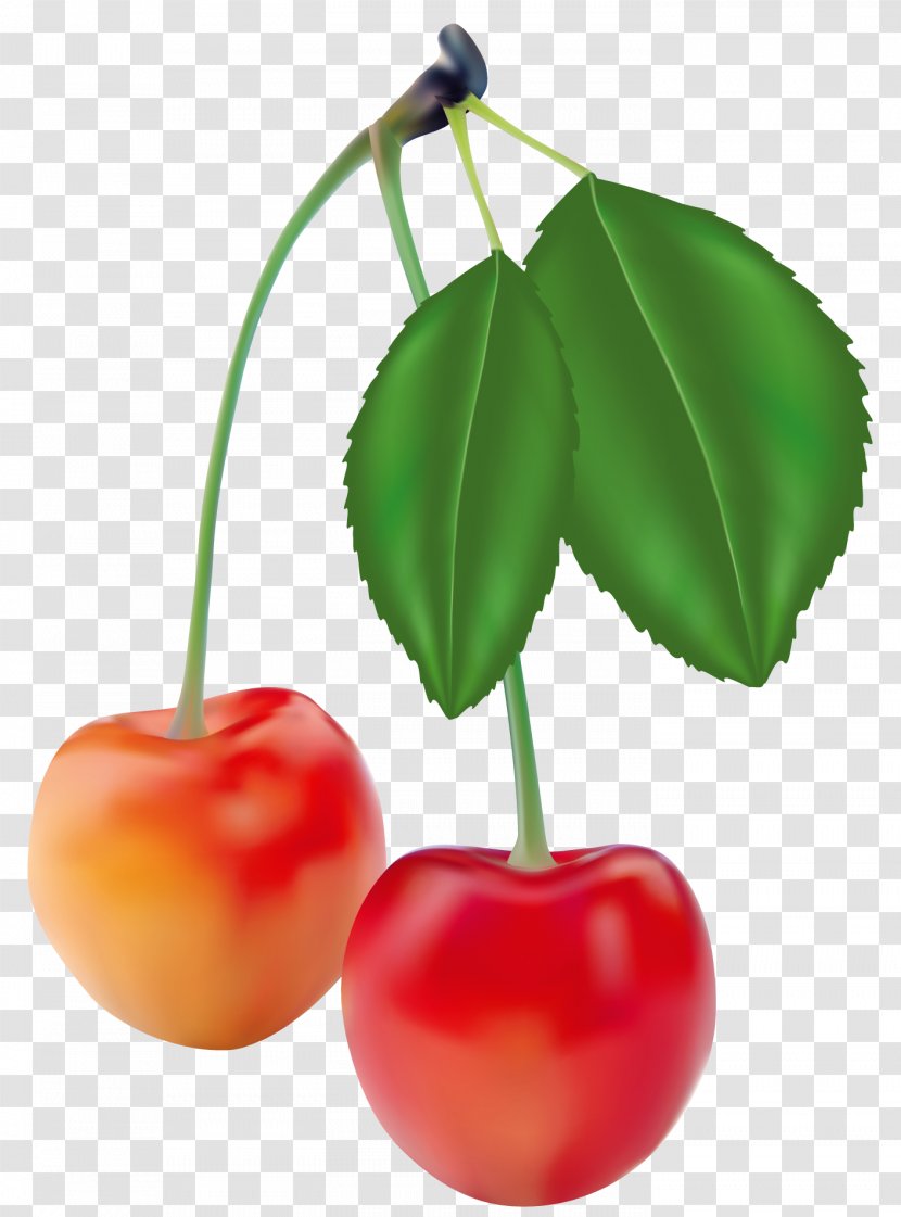 Juice Fruit Vegetable Realism Drawing - Food - Cherries Clipart Picture Transparent PNG