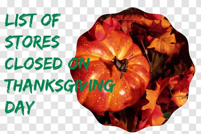 Thanksgiving Is... Day Black Friday Winter Squash Food Transparent PNG