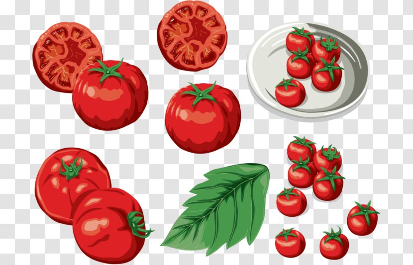 Bush Tomato Food Clip Art Transparent PNG