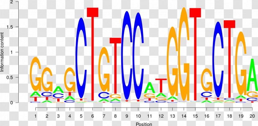 Transcription Factor DNA Binding Site ChIP-sequencing Sequence Motif - Chiponchip Transparent PNG