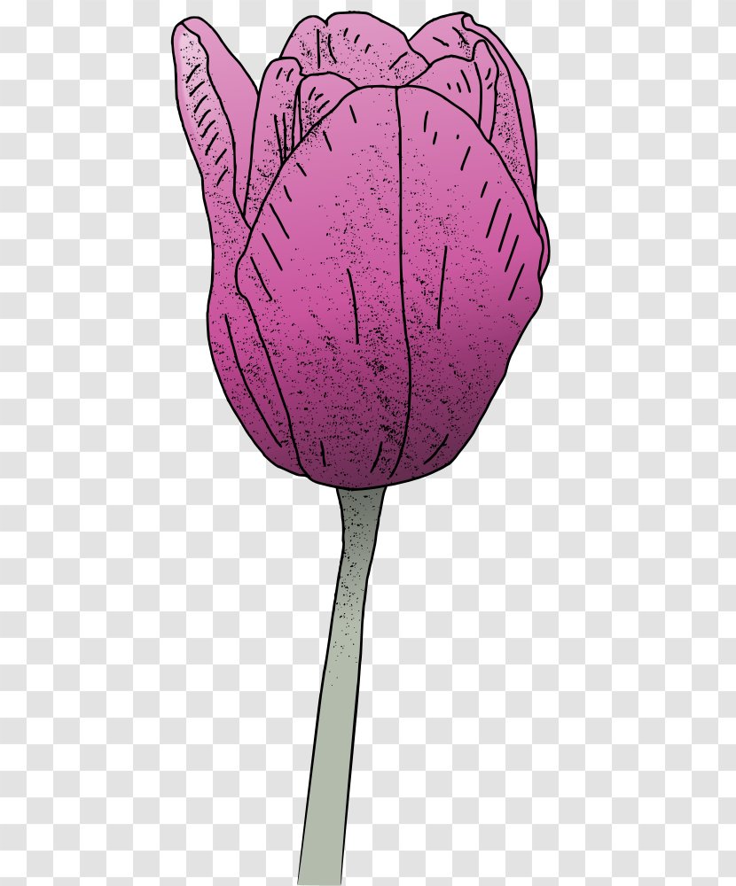 Product Pink M - Flower - Tulip Transparent PNG