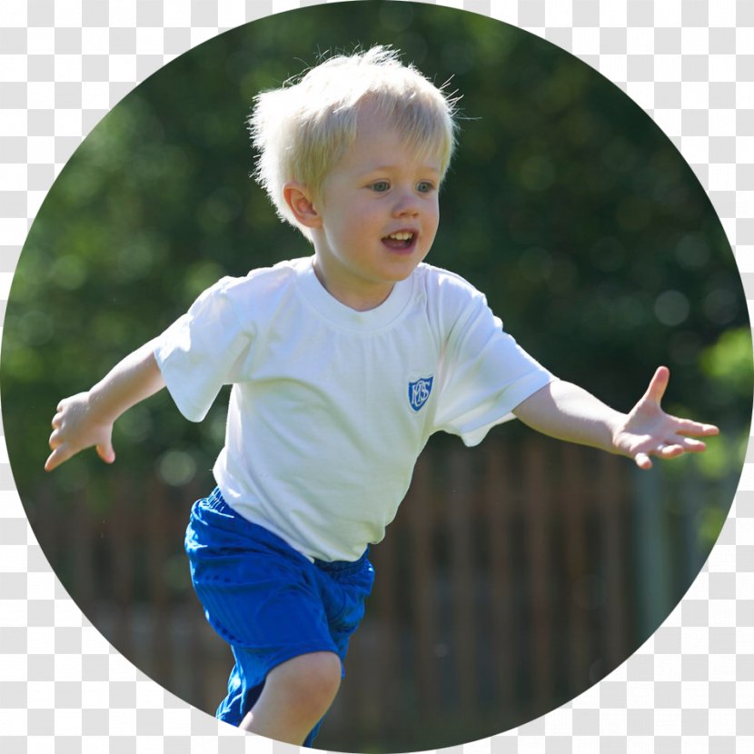Toddler Recreation - Admissions Biography Transparent PNG