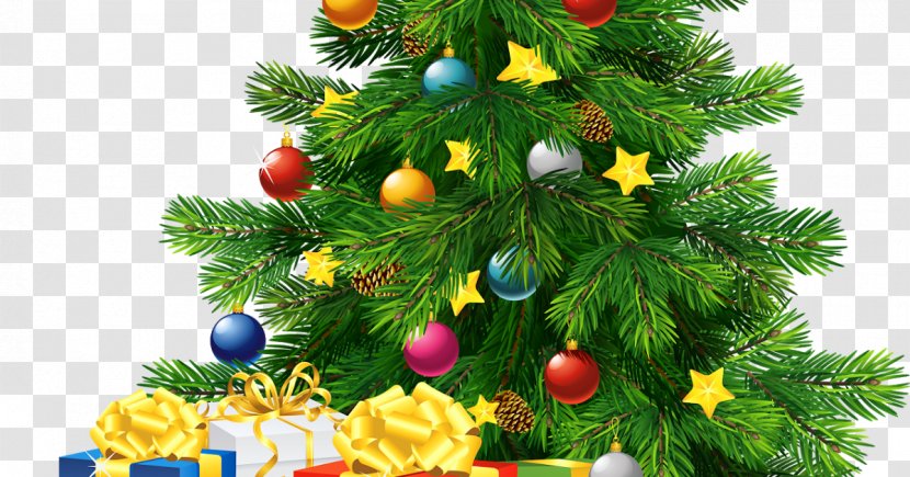 Santa Claus Royal Christmas Message Wish Tree - Evergreen Transparent PNG