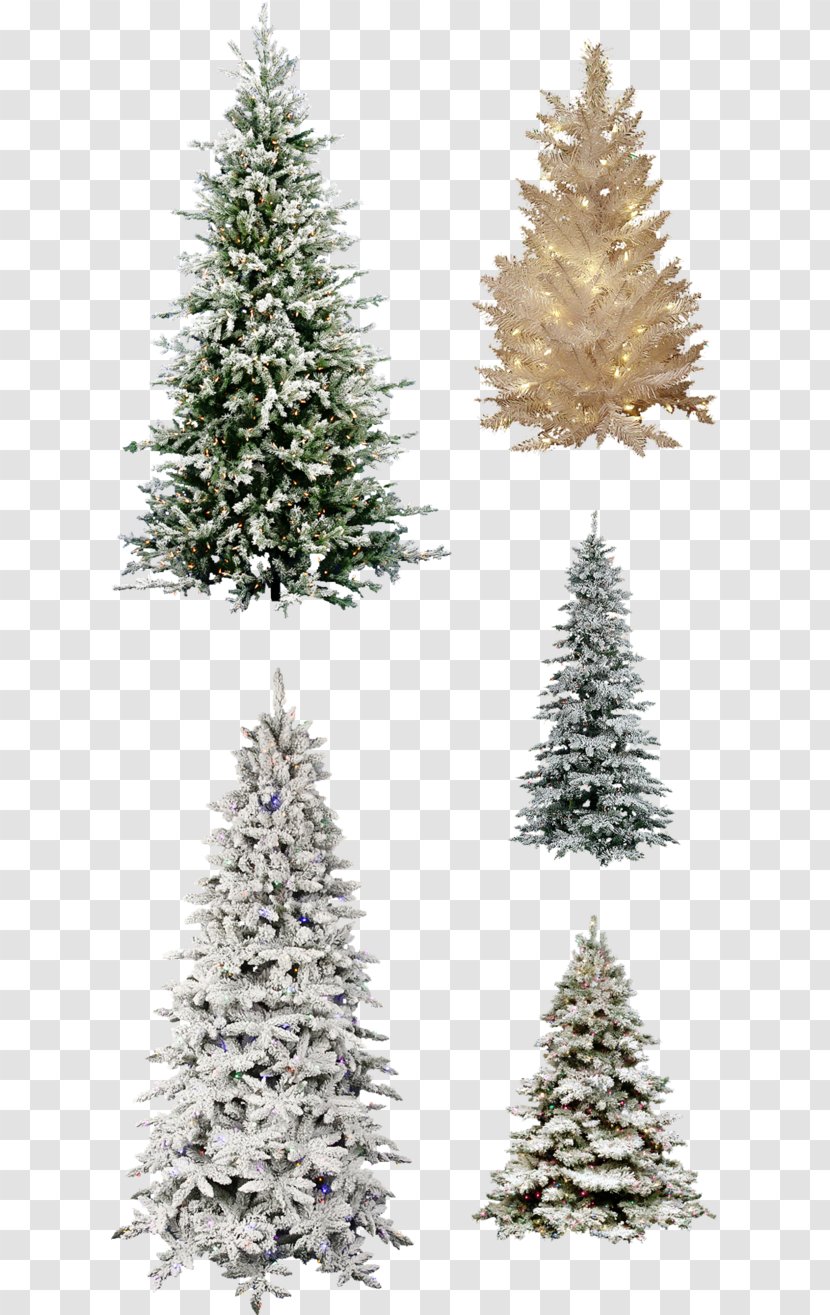 Artificial Christmas Tree Pine Flocking - Conifer Transparent PNG
