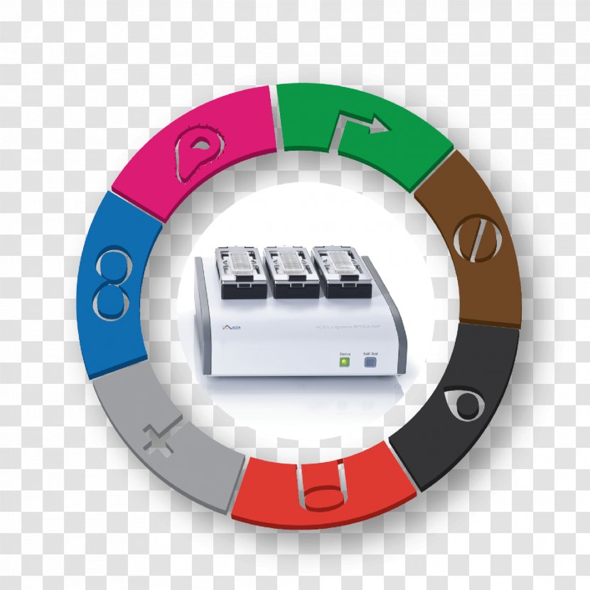 Cell Biology System Assay - Magnified Cancer Cartoon Transparent PNG