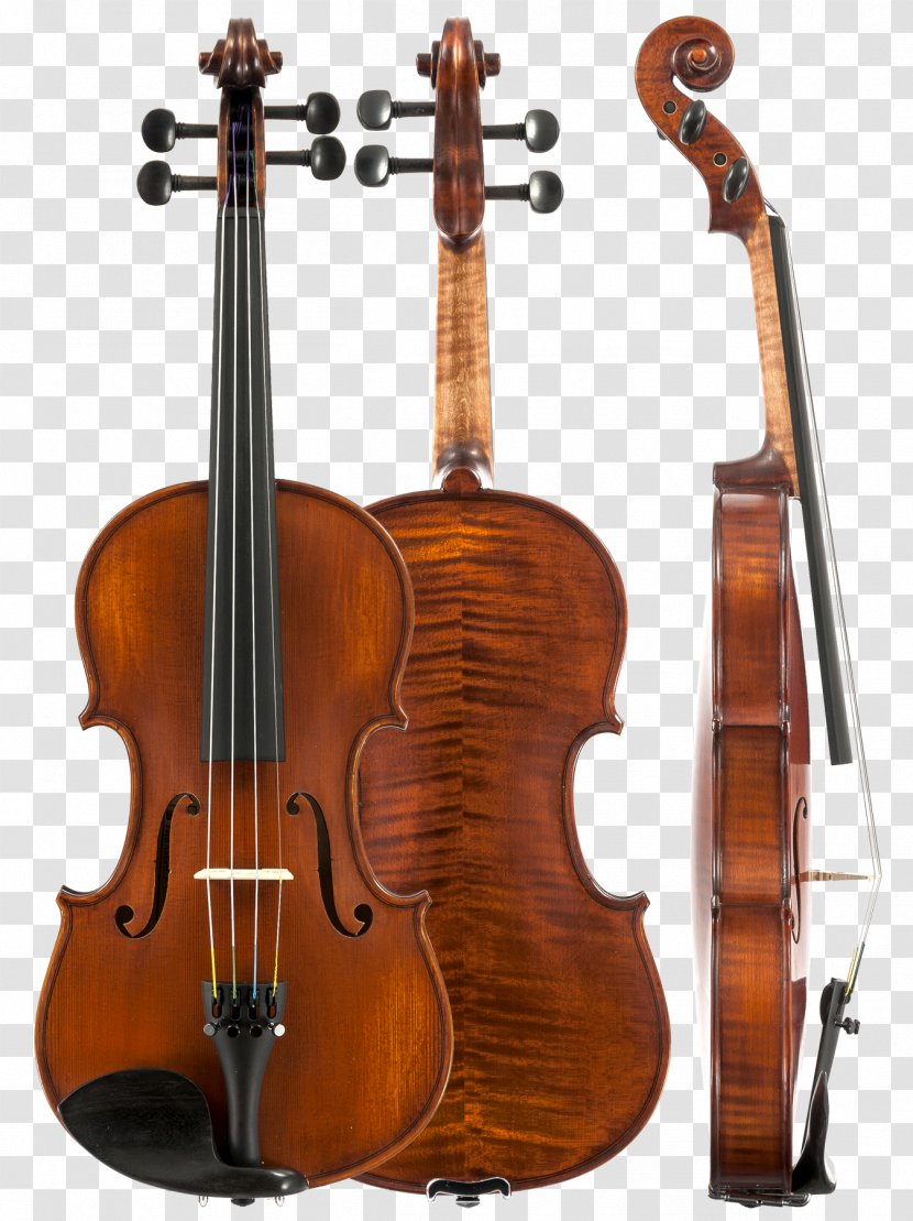 Ukulele Cello Amati Violin Viola - Watercolor Transparent PNG