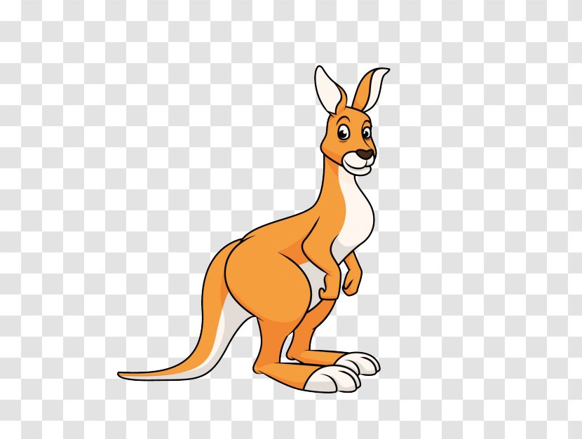 Vector Graphics Kangaroo Illustration Image Clip Art Transparent PNG