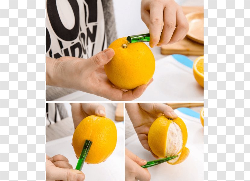 Lemon Squeezer Juicer Fruit Transparent PNG
