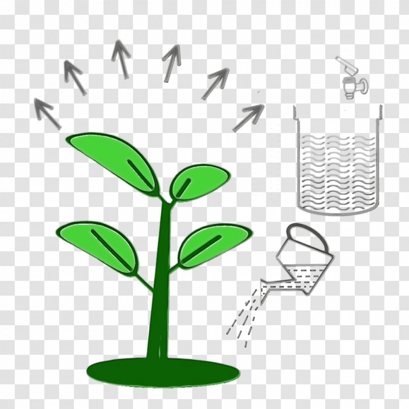 Green Leaf Plant Flower Flowerpot - Tree - Grass Transparent PNG