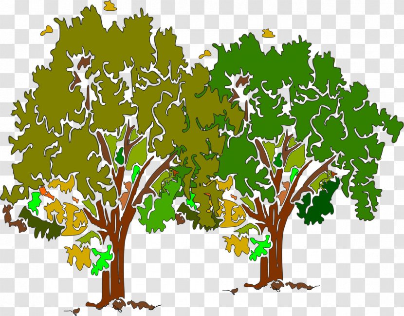 Tree - Leaf - Gardening Decorative Transparent PNG