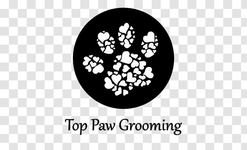 Top Paw Grooming LLC Poodle Dog Pet Cat - Organism Transparent PNG