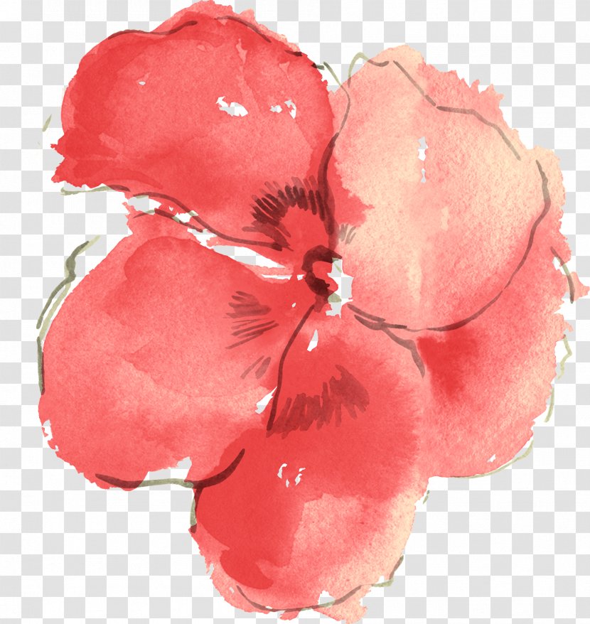 Watercolor Painting Clip Art - Poppy Family - Flower Transparent PNG