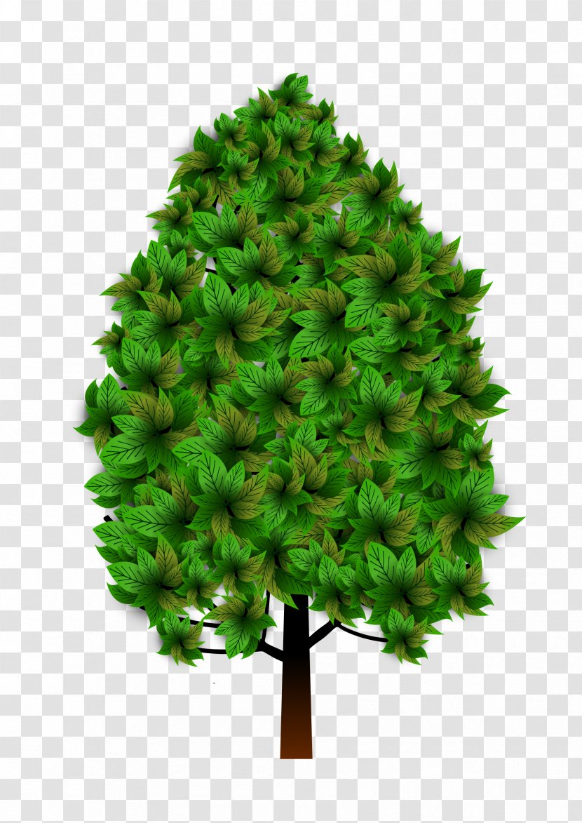 Tree Plant Clip Art - Branch Transparent PNG