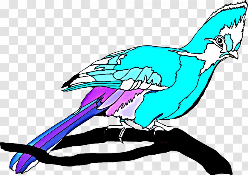 Clip Art Beak Bird Line Tail - Wing Transparent PNG
