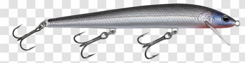 Fishing Baits & Lures Minnow - Recreation Transparent PNG