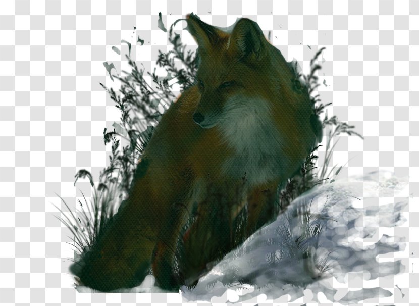 Red Fox Fauna Snout Wildlife News - Carnivoran - Beograd Transparent PNG
