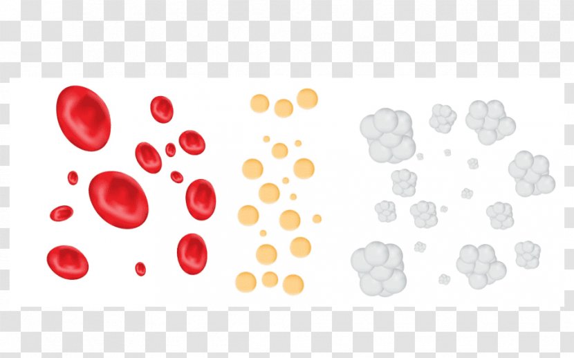 White Blood Cell Platelet - Diagram - Cells Transparent PNG