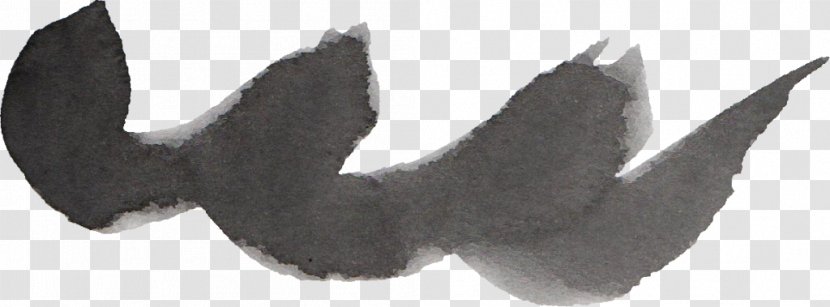 Feather Black Brush - Tail Transparent PNG