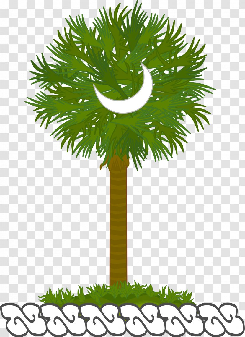 Asian Palmyra Palm Date Leaf Flowerpot - Borassus Flabellifer Transparent PNG