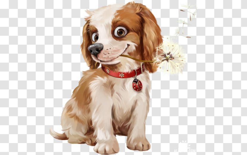 Morning Friday Good Greeting - Spaniel - Icelandic Sheepdog Transparent PNG