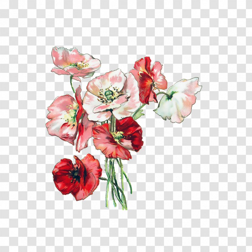 Floral Illustrations Clip Art Design Flower Transparent PNG